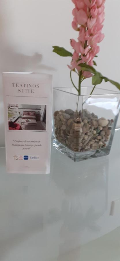 Teatinos Suite Malaga Ngoại thất bức ảnh